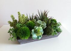 an arrangement of succulents and other plants in a wooden container on a table