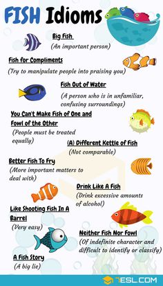 fish idioms for kids to learn how to use them in their own language