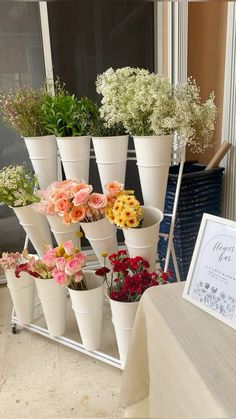 a bunch of flowers that are in some pots