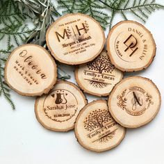 six wooden coasters with the names of different types of trees and animals on them