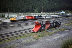 a train traveling down tracks next to a forest filled with pine trees and tall mountains