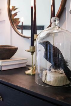 a glass cloche with a bird under it on a table next to a candle