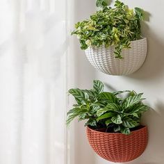 two planters hanging on the wall next to each other