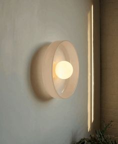 a light that is on the side of a wall next to a potted plant