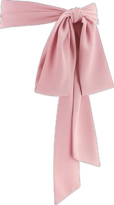 Elegant Formal Belted Sashes, Elegant Belted Sashes For Formal Occasions, Elegant Belted Sashes For Party, Pink Elegant Sash For Formal Occasions, Wedding Belt, Dress Sash, Belt Dress, Branded Belts, Wedding Belts