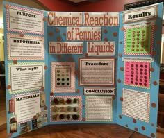 a science fair project with posters on the front and back walls that include chemical reactions in different liquids