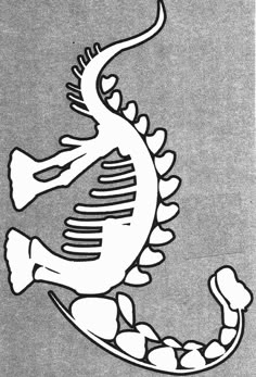 a black and white drawing of a fish skeleton