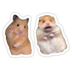 two stickers that say, peace sign and screaming hamsters are on sale for $ 29 99