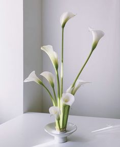 a vase with white flowers in it on a table