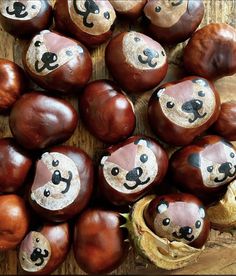 an arrangement of chestnuts with faces painted on them