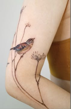 a bird sitting on top of a plant next to a woman's arm and leg