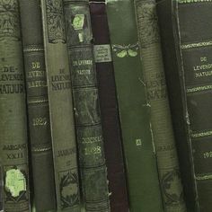 a row of old books sitting on top of a book shelf next to each other