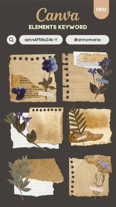 an old paper with flowers and leaves on it, next to the words canna elements key