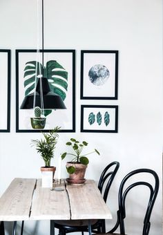 a dining room table with chairs and pictures on the wall above it, along with potted plants