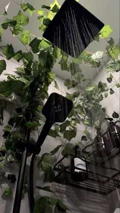 a shower head with plants growing on the wall next to it and an overhead light