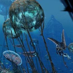 an artist's rendering of sea life in the ocean with jellyfish and squid