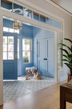 a room with blue walls and wooden floors has a bench, potted plant, and two doors