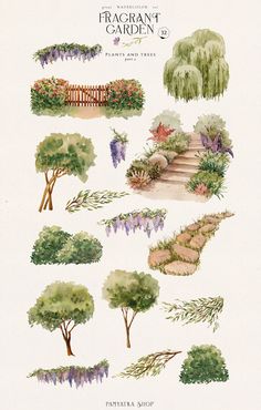 an illustration of various types of trees and shrubs in different stages of growth, with the words fragrant's garden written below