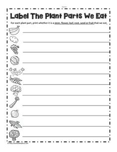 label the plant parts we eat worksheet