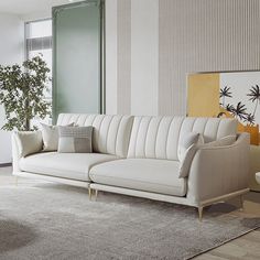 a white couch sitting on top of a wooden floor next to a plant in a living room