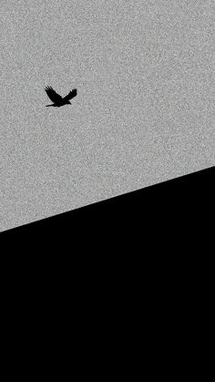 a bird is flying in the sky over a hill with a black and white background