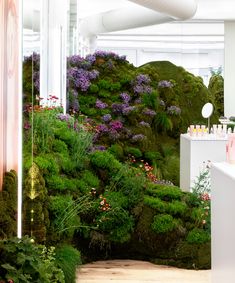 an indoor garden with moss growing on the walls and plants in the center, surrounded by white columns