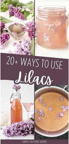 the cover of 20 ways to use lilacs, including flowers and jars with text overlay