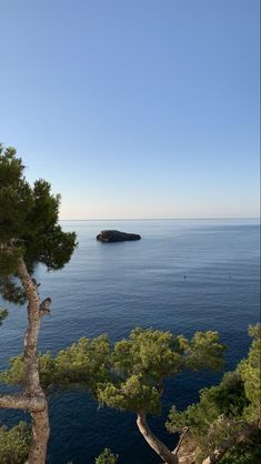 an island in the middle of the ocean surrounded by trees