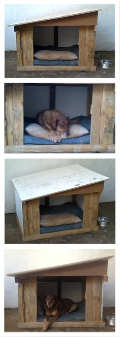 three different views of a dog laying in his bed and sleeping on the other side