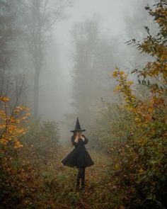 a woman wearing a witches hat and black dress walking through the woods on a foggy day