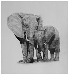 two elephants standing next to each other in front of a white background with black ink