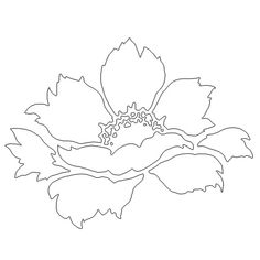 the outline of a flower on a white background