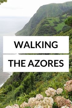 the words walking the azores are overlaid by flowers and hills near the ocean