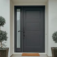 a gray door with two planters on either side