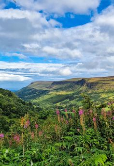 the mountains are covered in lush vegetation and blue skies with white clouds above, as well as wildflowers