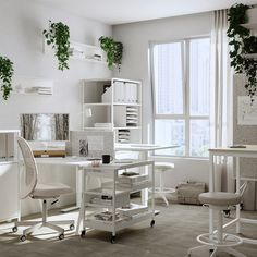 an office with white furniture and plants in the window sill, along with two desks