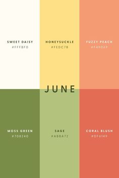 the color scheme for an upcoming album, june