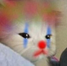 a white cat with blue and red stripes on it's face