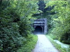 a tunnel in the woods with trees surrounding it