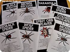 six spider activities for kids to use in the classroom