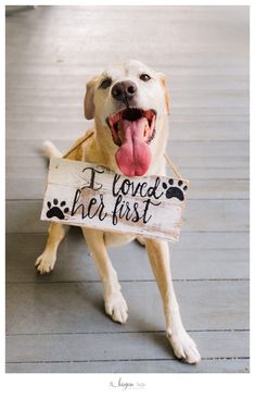 a dog is holding a sign that says i loved her first with it's tongue hanging out