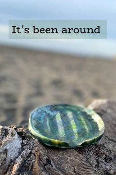 a green shell sitting on top of a tree stump next to the ocean with a quote above it that reads, it's been around