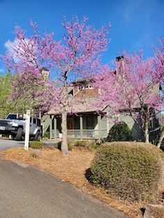 a truck is parked in front of a house with pink flowers on the trees and bushes