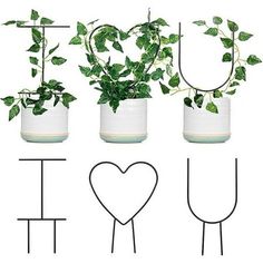 three potted plants with the letters u, t, and i in front of them