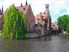 an old castle is surrounded by water in the middle of a town with trees growing out of it