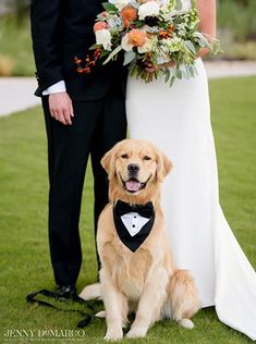 a bride and groom pose with their dog