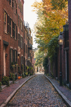 a cobblestone street lined with brick buildings and trees on either side in autumn