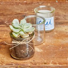 a glass jar with a succulent plant in it next to a candle on a wooden table