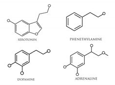 four different types of vitamins are shown in black and white, with the names above them