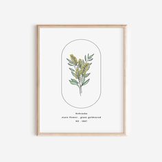 a framed print with an illustration of yellow flowers in a oval frame on a white wall